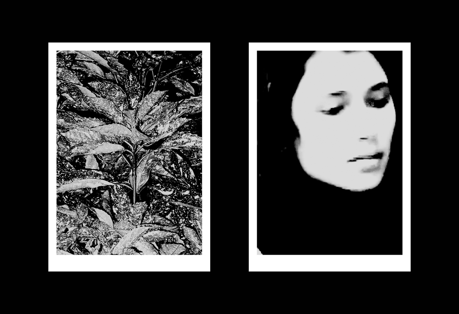 Posters-