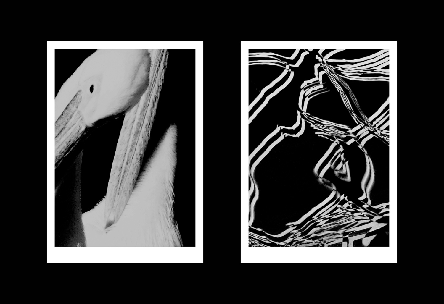 Posters-