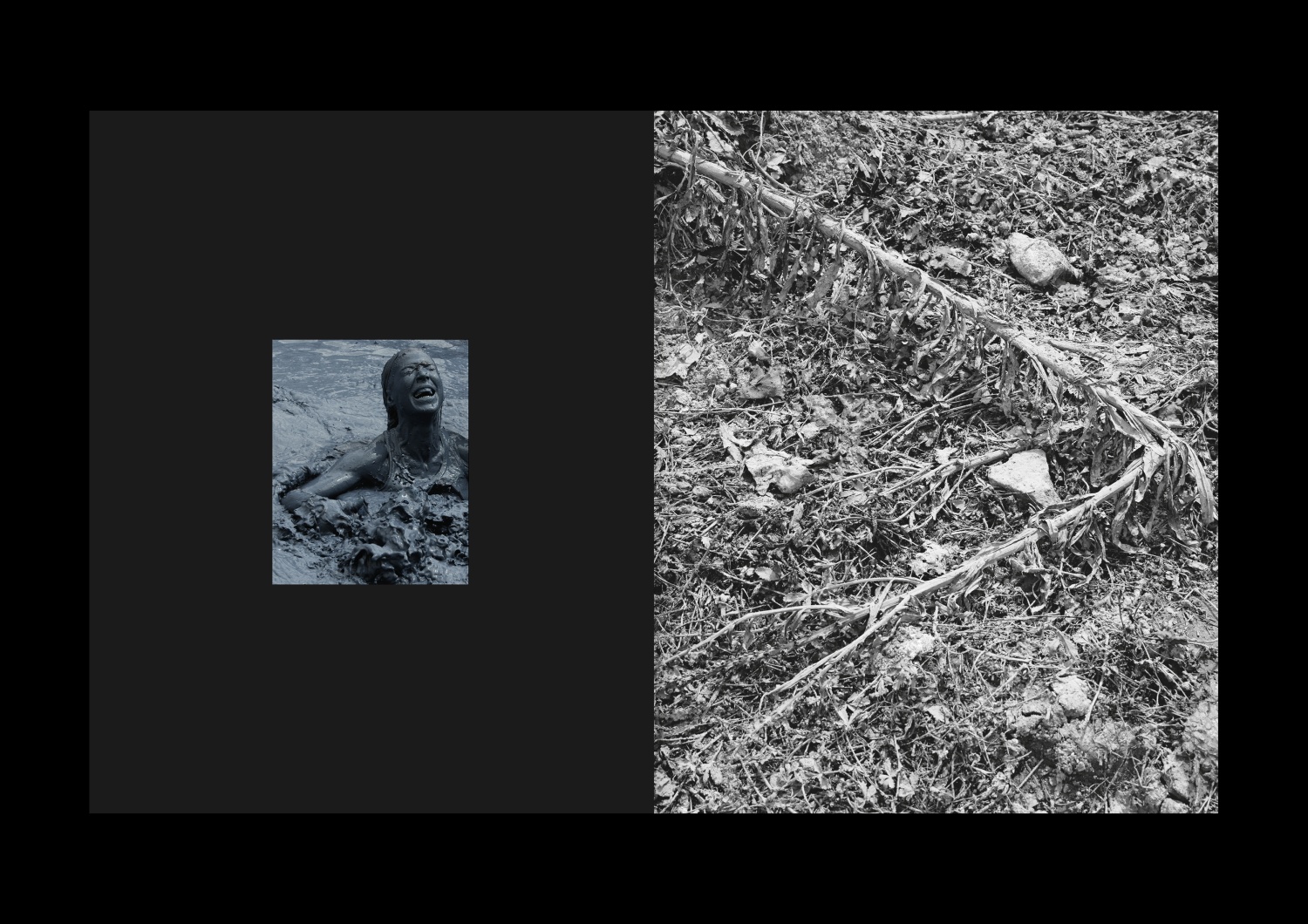 Le Royaume-